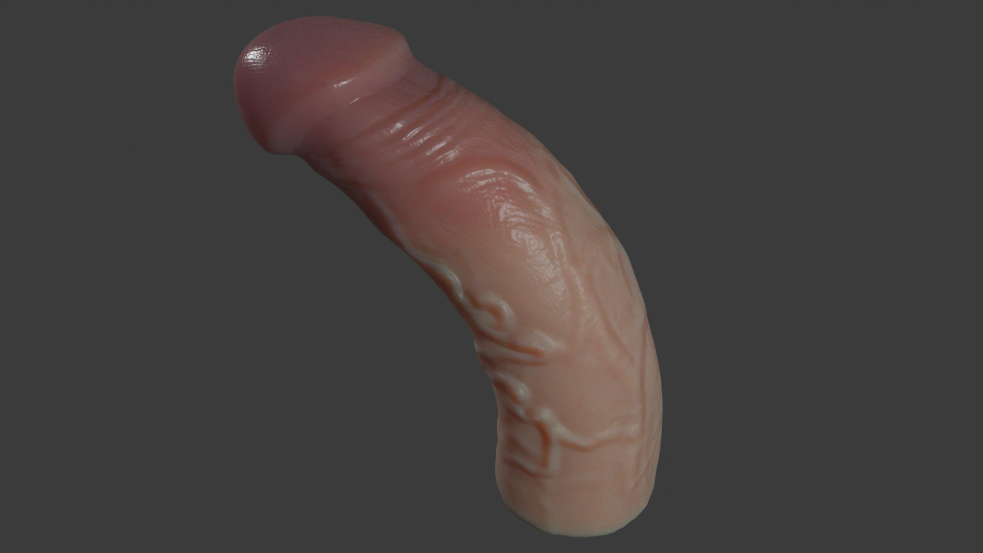 Penis Rigged Highpoly and Lowpoly Low-poly 3D model_9