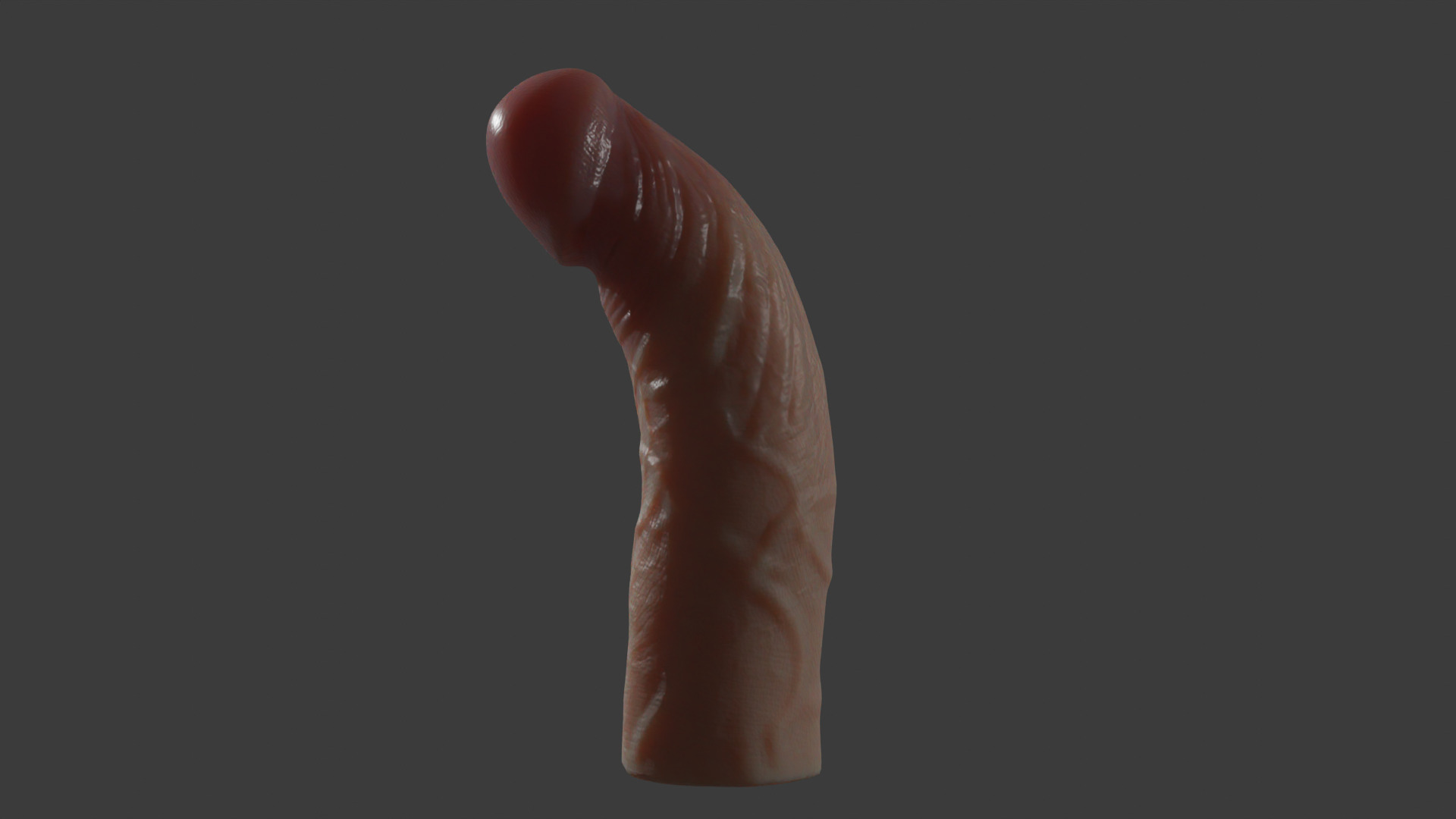 Penis Rigged Highpoly and Lowpoly Low-poly 3D model_7