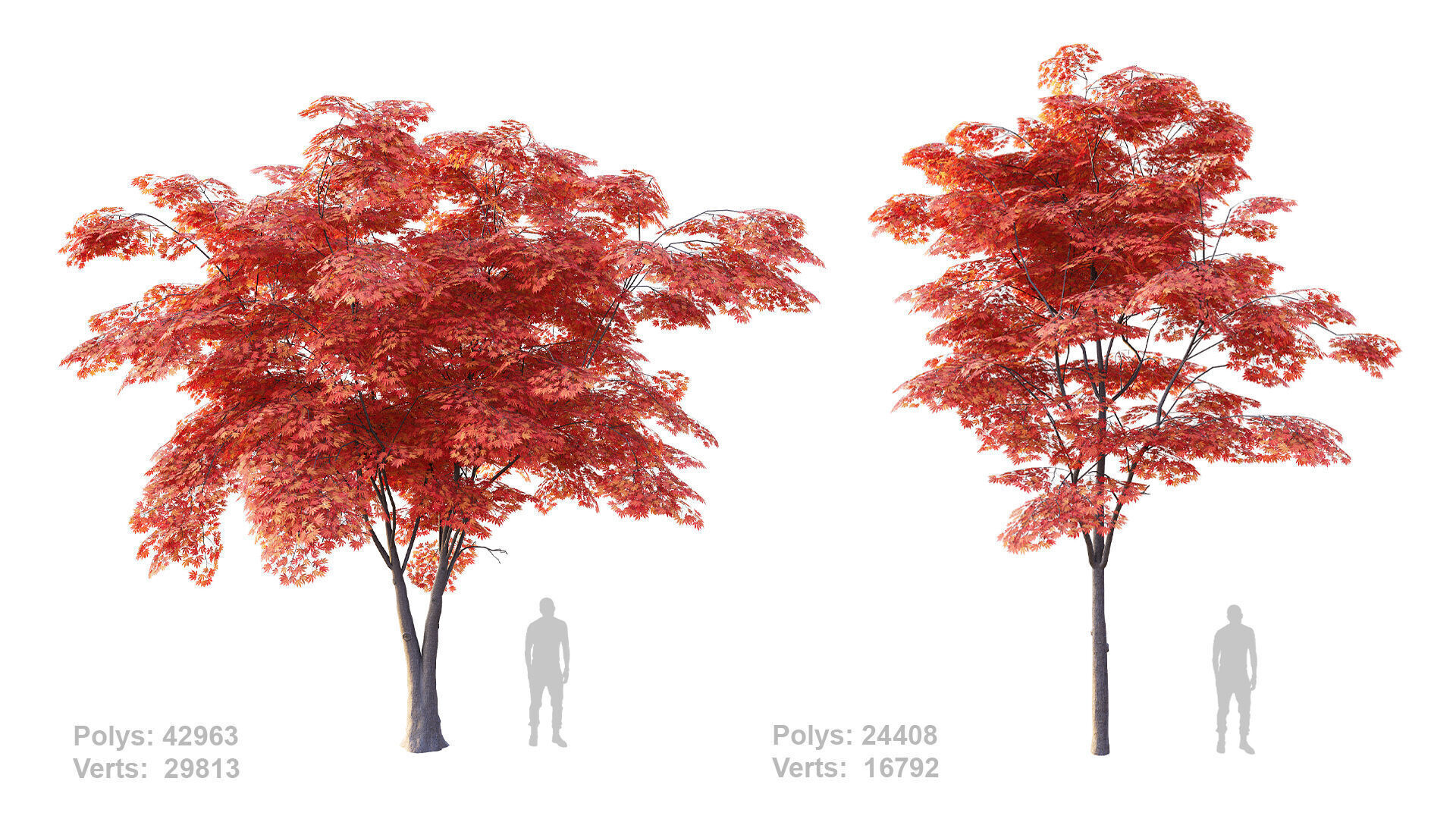 Japanese Maple Set 4K PBR Low-poly 3D model_2