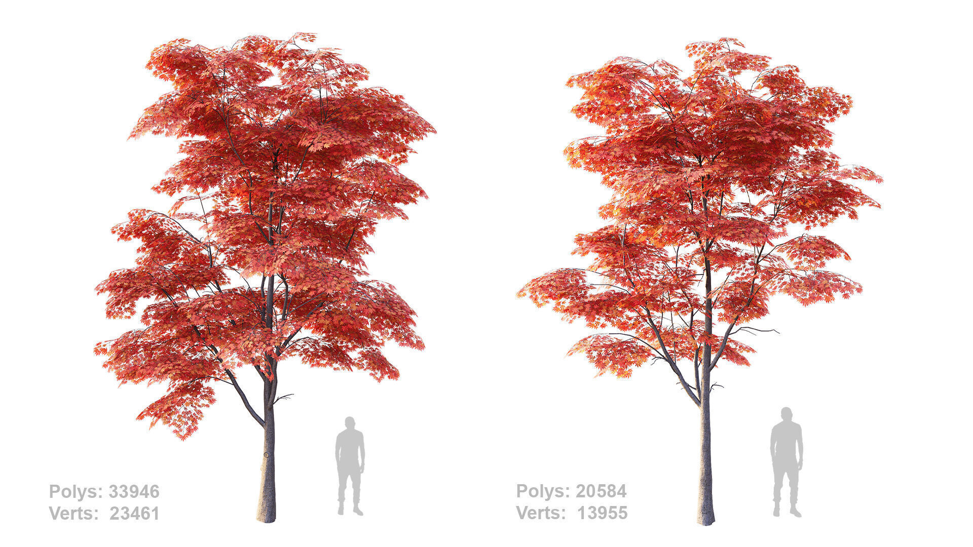 Japanese Maple Set 4K PBR Low-poly 3D model_1