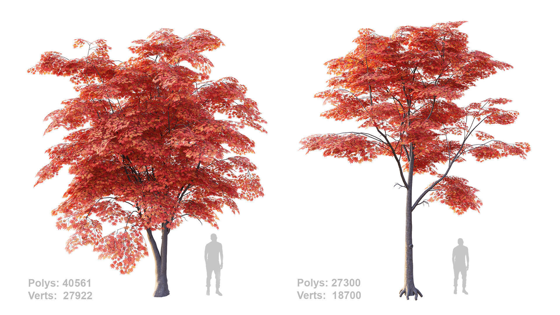 Japanese Maple Set 4K PBR Low-poly 3D model_3