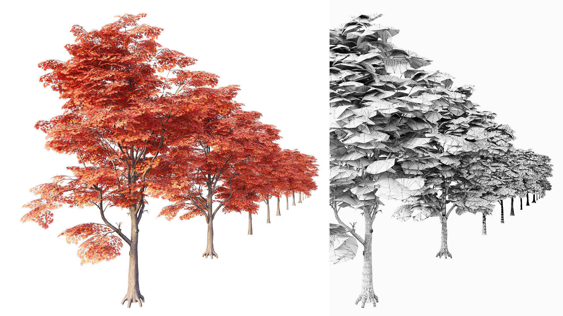 Japanese Maple Set 4K PBR Low-poly 3D model_7