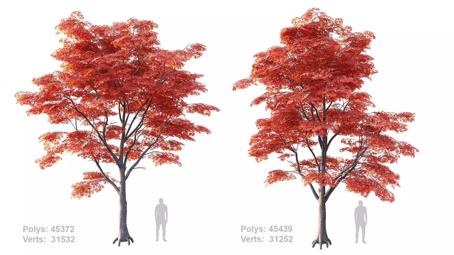 Japanese Maple Set 4K PBR Low-poly 3D model_0