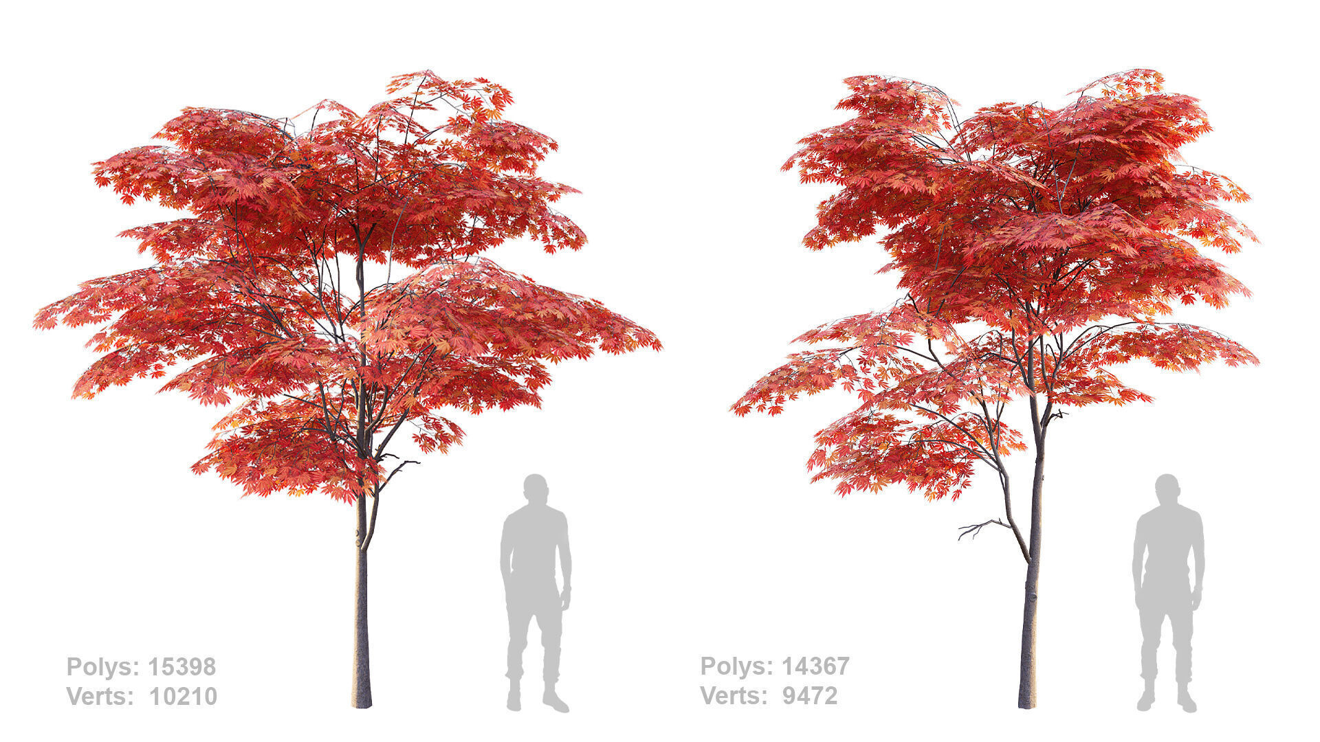 Japanese Maple Set 4K PBR Low-poly 3D model_4