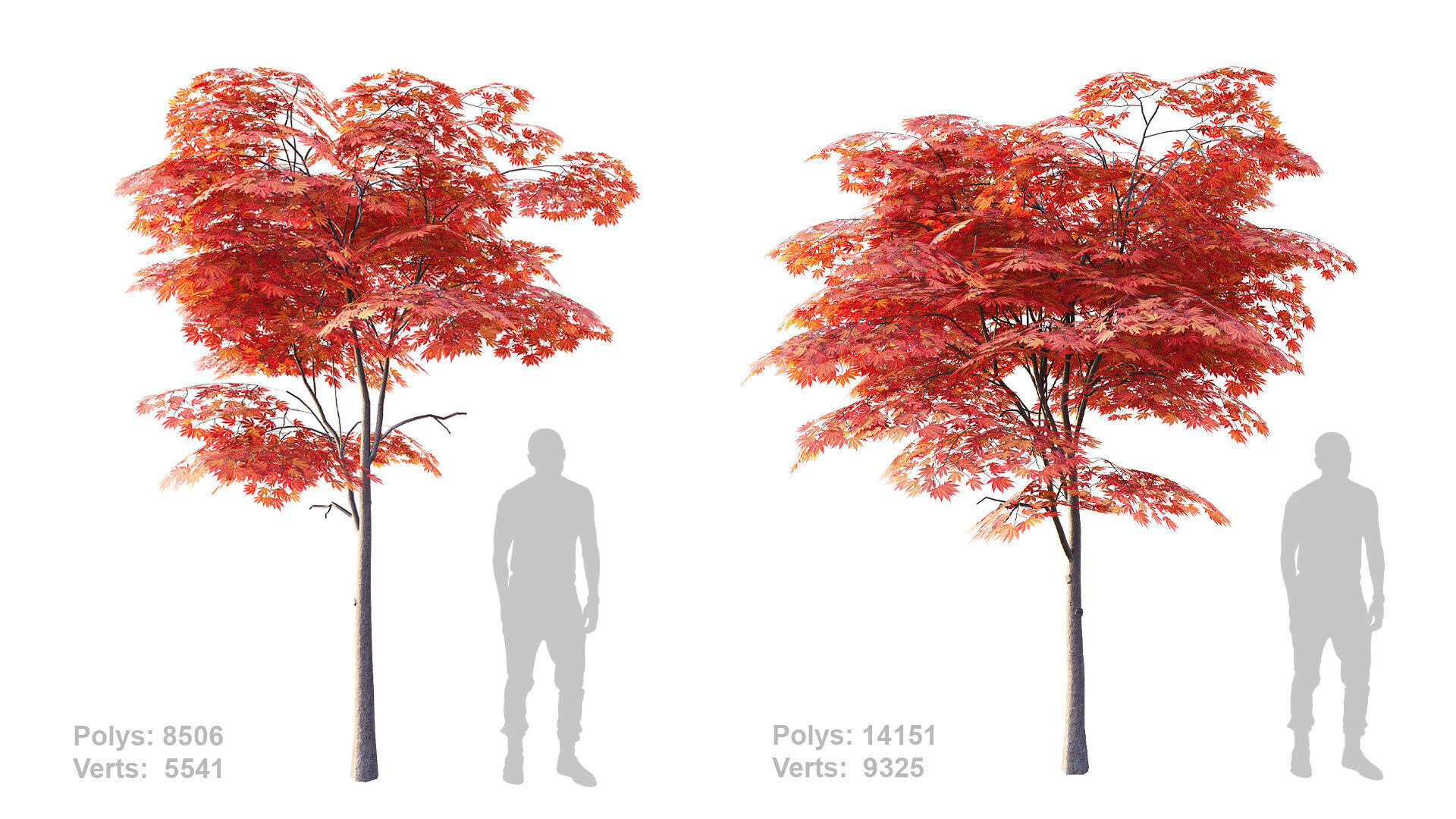 Japanese Maple Set 4K PBR Low-poly 3D model_6