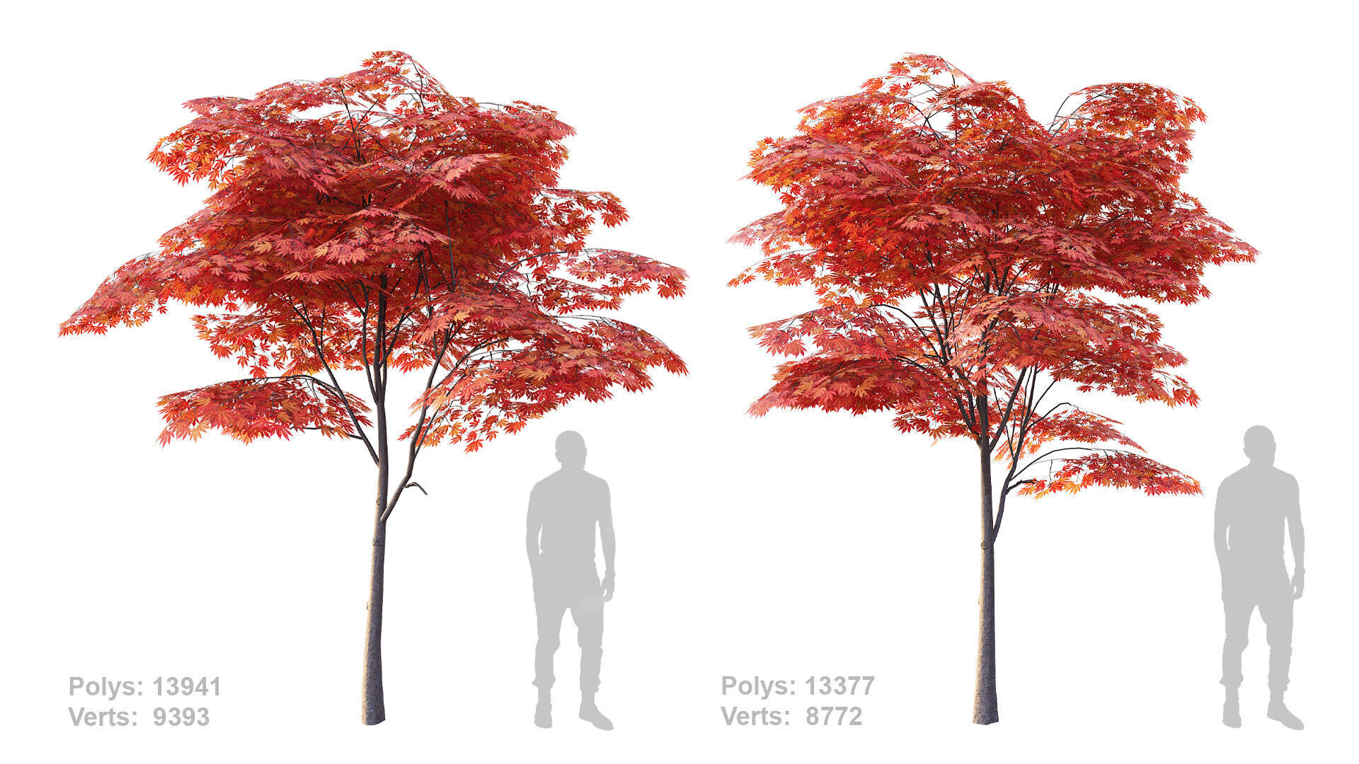 Japanese Maple Set 4K PBR Low-poly 3D model_5