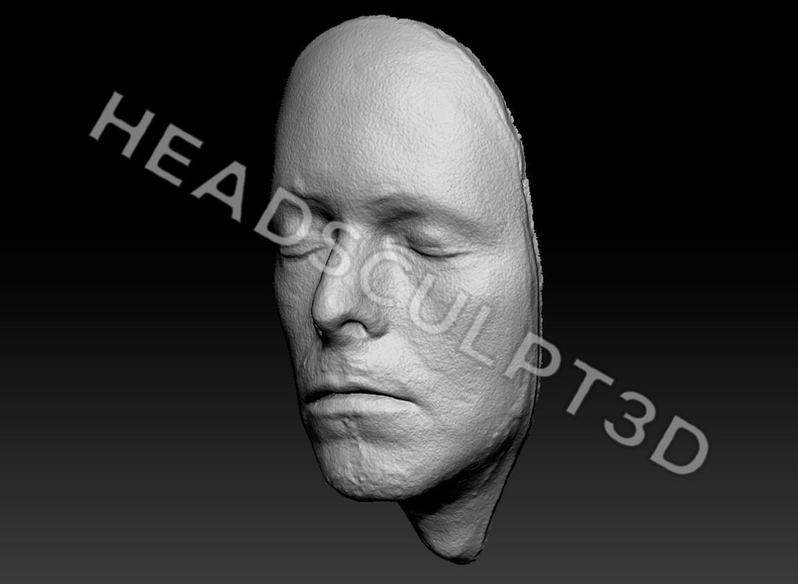 David Bowie Lifecast 3D Head 90s Likeness Musician Ziggy 3D model_1
