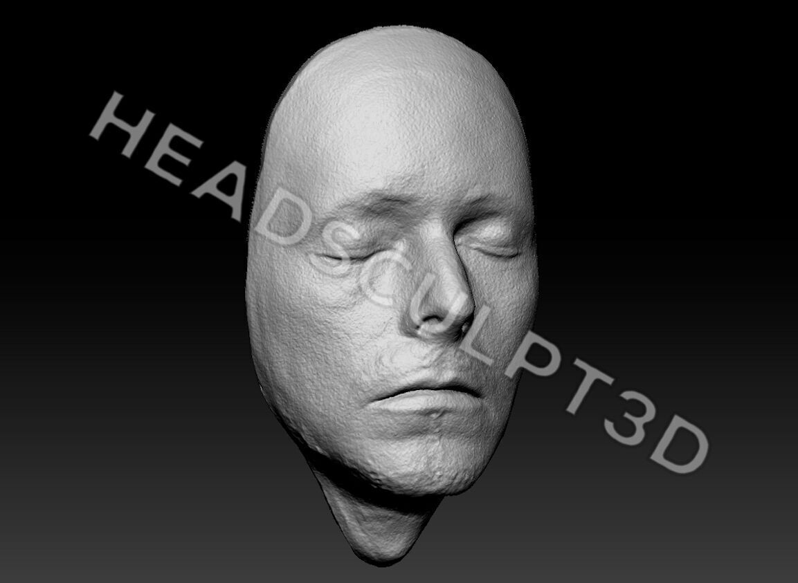 David Bowie Lifecast 3D Head 90s Likeness Musician Ziggy 3D model_2