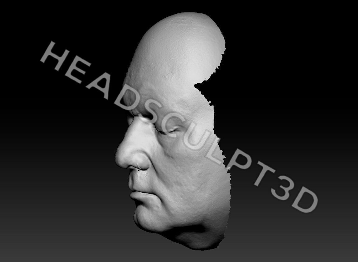 Bill Murray Lifecast 3D Head Likeness Groundhog Day Ghostbusters 3D model_5