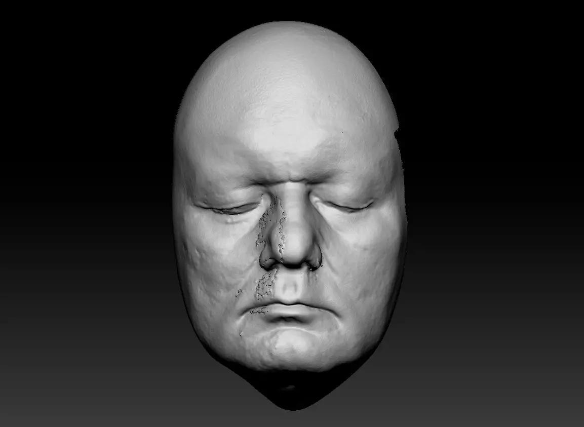 Bill Murray Lifecast 3D Head Likeness Groundhog Day Ghostbusters 3D model_0