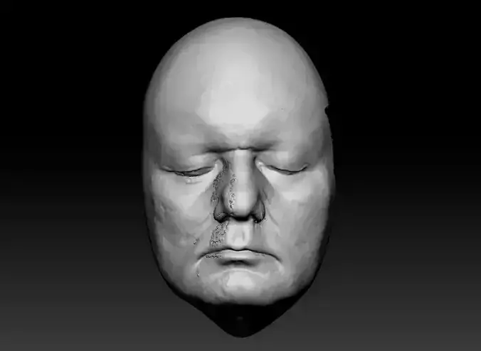 Bill Murray Lifecast 3D Head Likeness Groundhog Day Ghostbusters