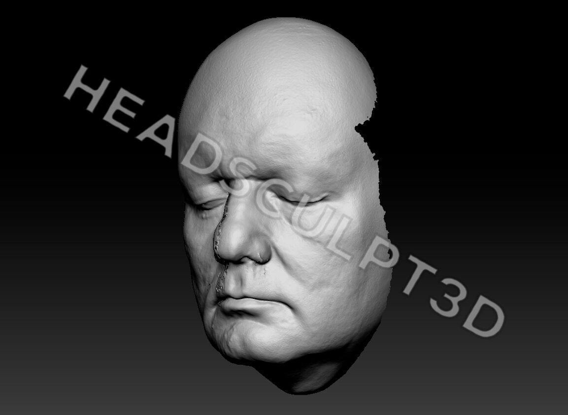 Bill Murray Lifecast 3D Head Likeness Groundhog Day Ghostbusters 3D model_4