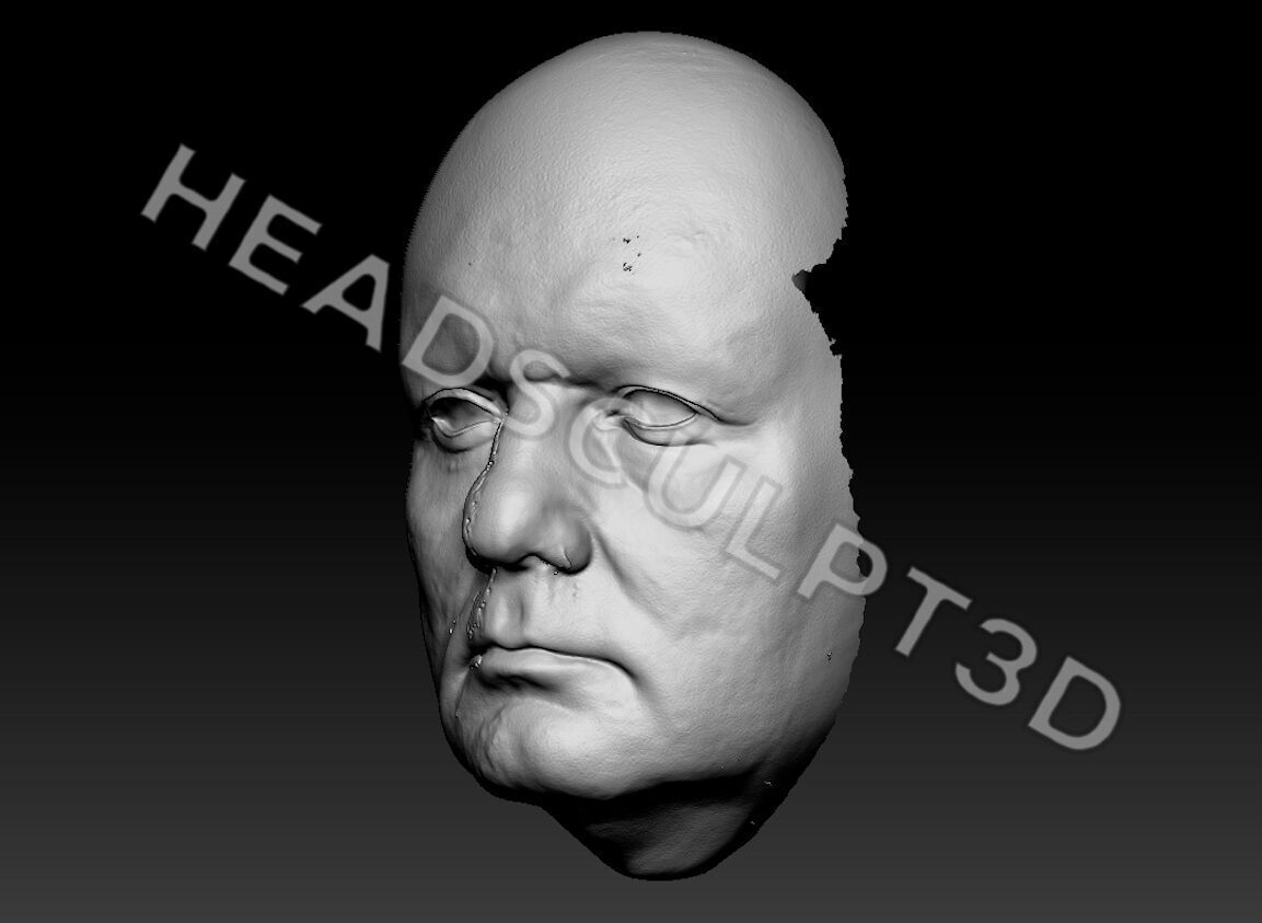 Bill Murray Lifecast 3D Head Likeness Groundhog Day Ghostbusters 3D model_2
