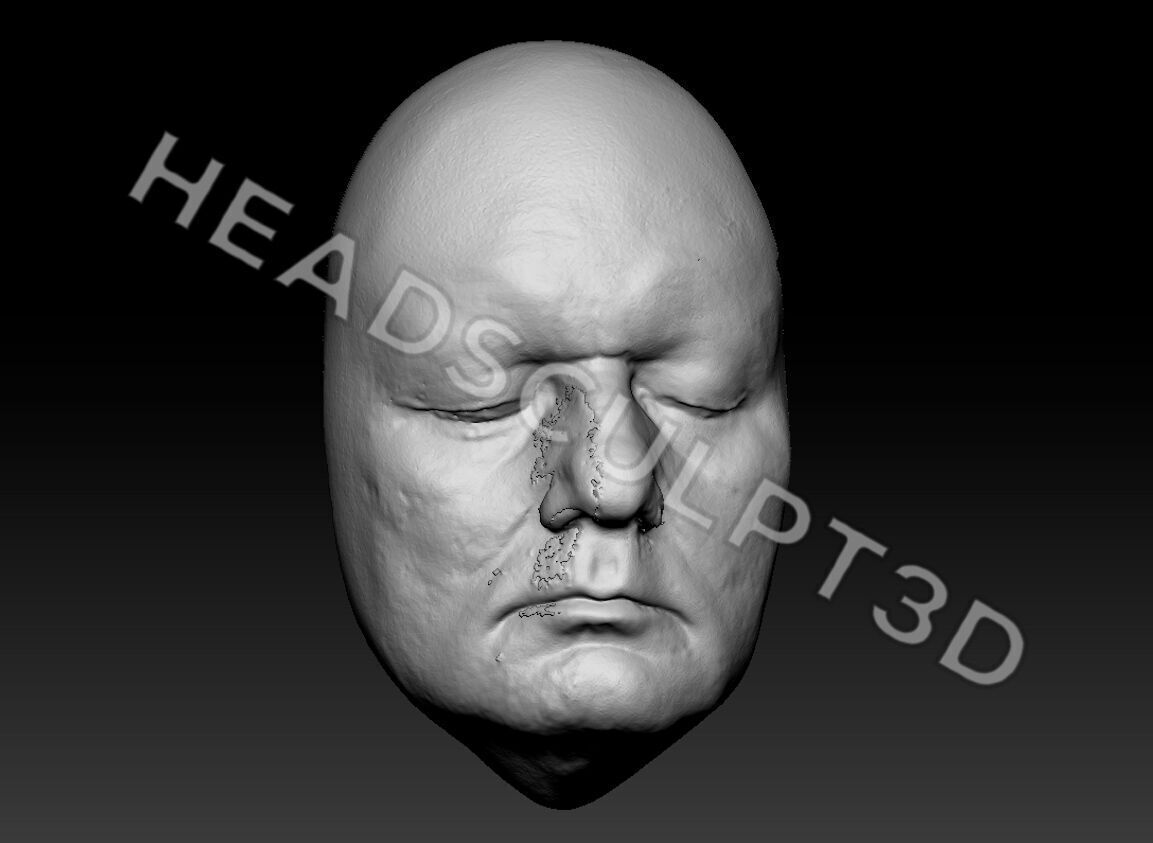 Bill Murray Lifecast 3D Head Likeness Groundhog Day Ghostbusters 3D model_1