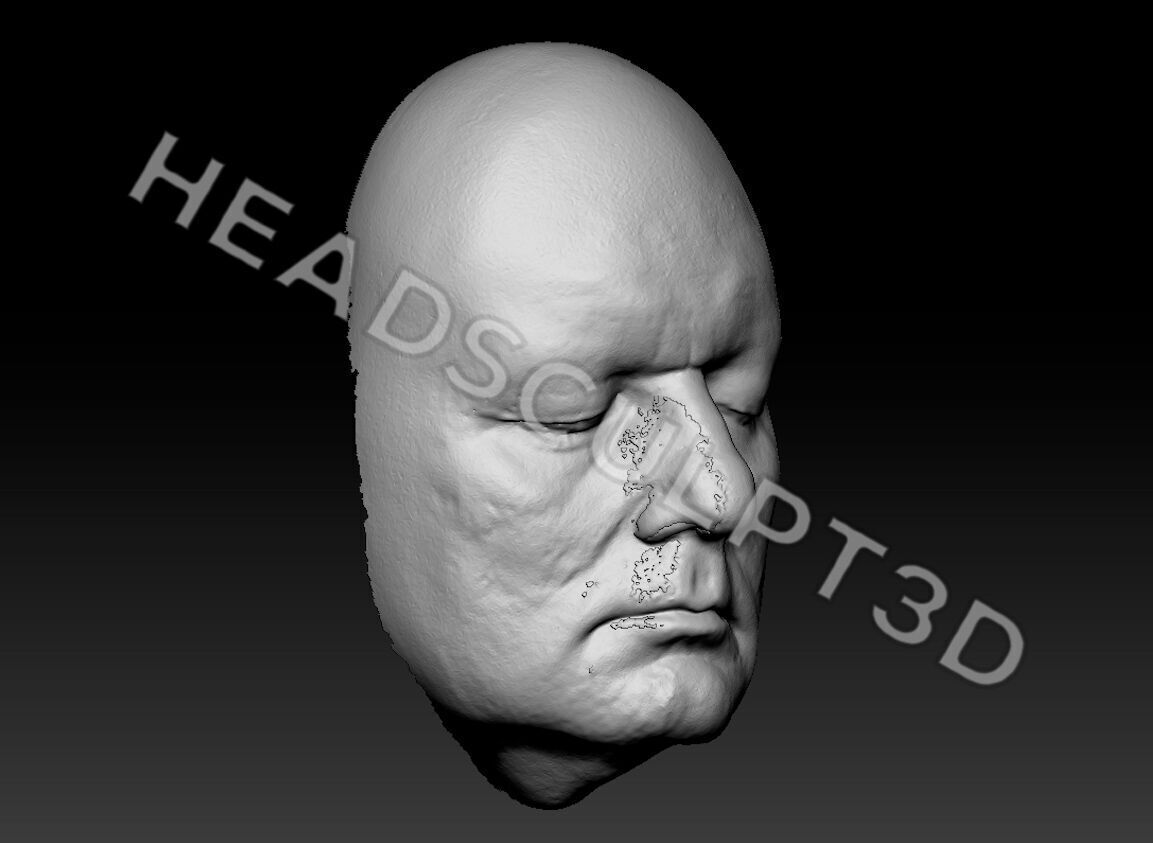 Bill Murray Lifecast 3D Head Likeness Groundhog Day Ghostbusters 3D model_3