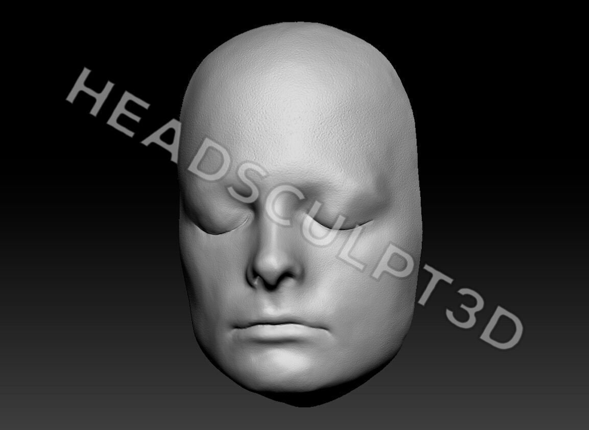 Michael J Fox Marty McFly Lifecast 3D Head Back To The Future 3D model_2