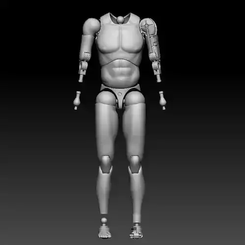 TrueType Narrow Shoulder Body Sixth Scale Figure 3D Scan Hot Toy