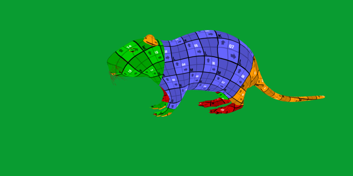 Nutria Coypu Rodent Low-poly 3D model_30