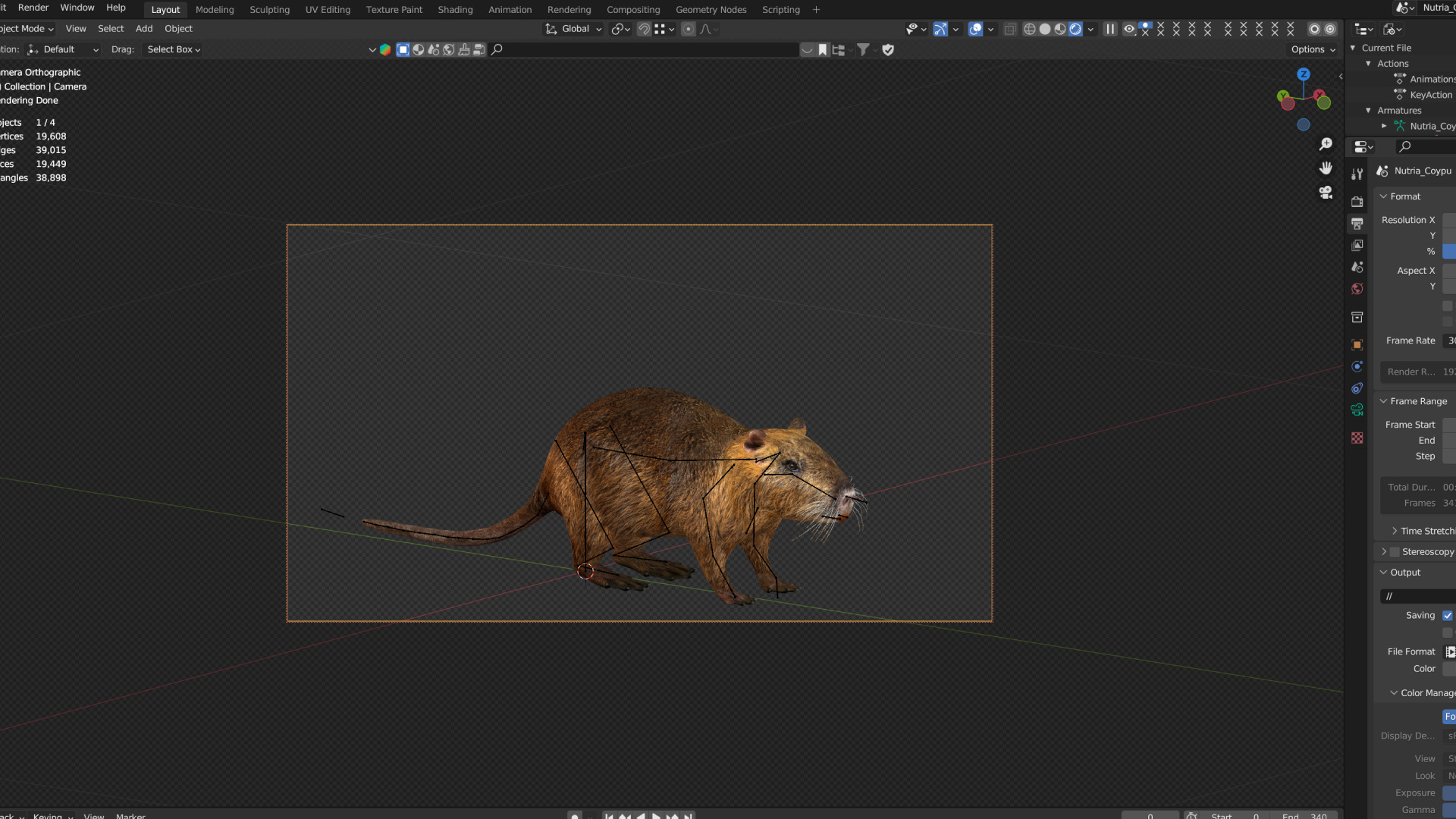 Nutria Coypu Rodent Low-poly 3D model_3