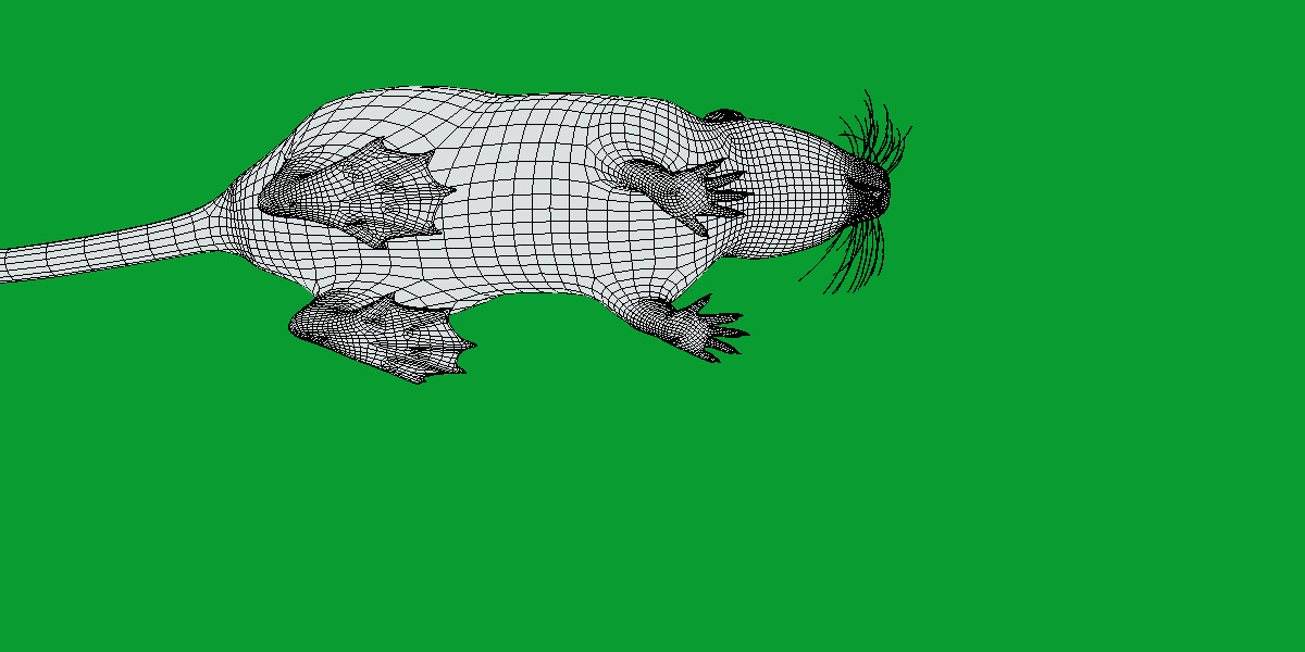 Nutria Coypu Rodent Low-poly 3D model_25