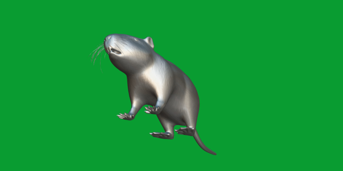 Nutria Coypu Rodent Low-poly 3D model_19