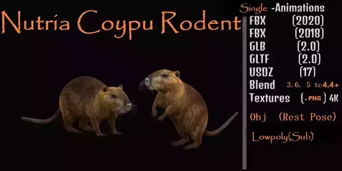 Nutria Coypu Rodent Low-poly 3D model Nutria Coypu Rodent Low-poly 3D model