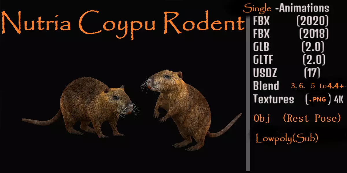 Nutria Coypu Rodent Low-poly 3D model_0