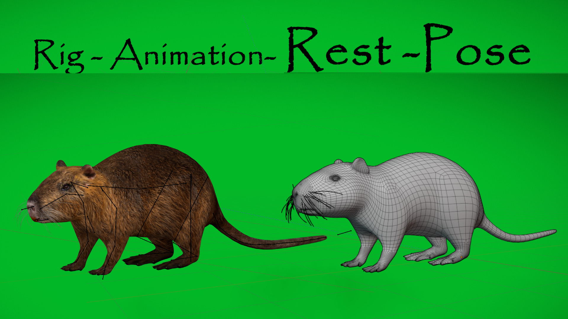 Nutria Coypu Rodent Low-poly 3D model_4