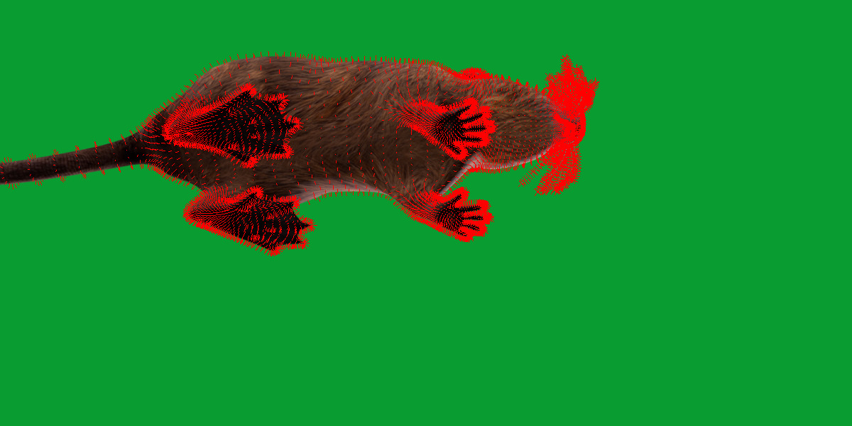 Nutria Coypu Rodent Low-poly 3D model_26