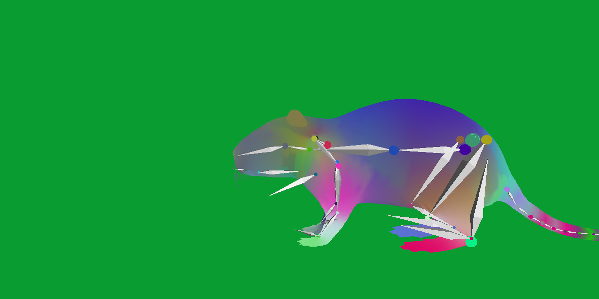 Nutria Coypu Rodent Low-poly 3D model_12