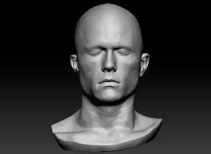 Heath Ledger Joker Lifecast 3D Head Scan Likeness Dark Knight