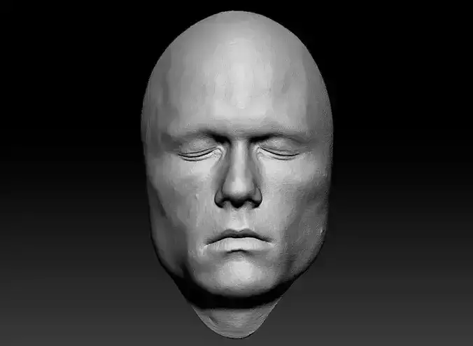 Heath Ledger Joker Lifecast 3D Half-Head Scan Likeness DC