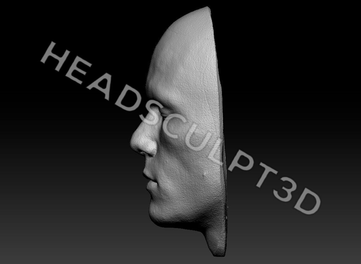 Heath Ledger Joker Lifecast 3D Half-Head Scan Likeness DC 3D model_4
