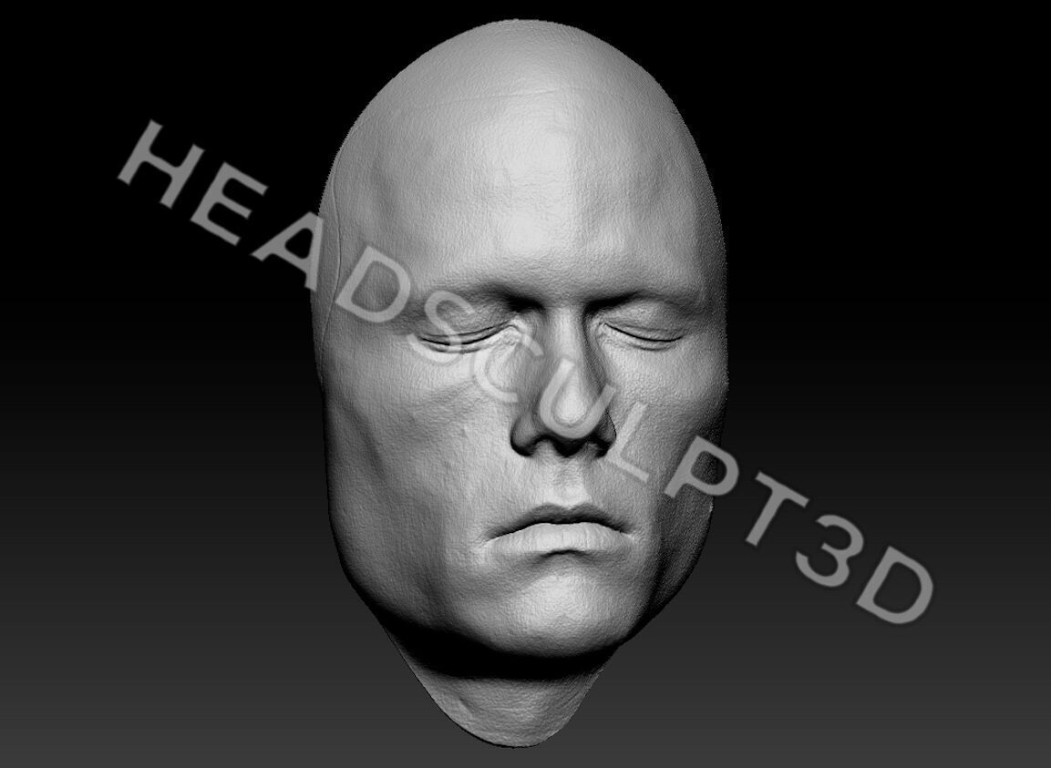Heath Ledger Joker Lifecast 3D Half-Head Scan Likeness DC 3D model_1