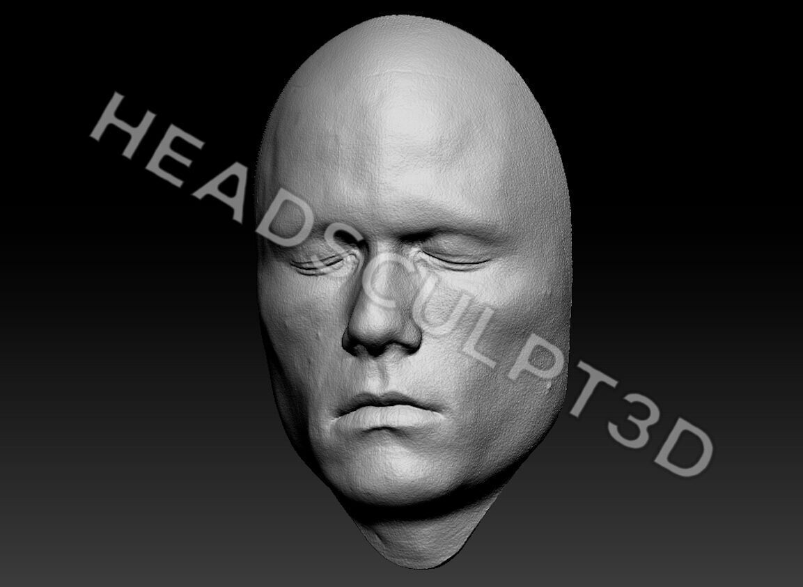 Heath Ledger Joker Lifecast 3D Half-Head Scan Likeness DC 3D model_2