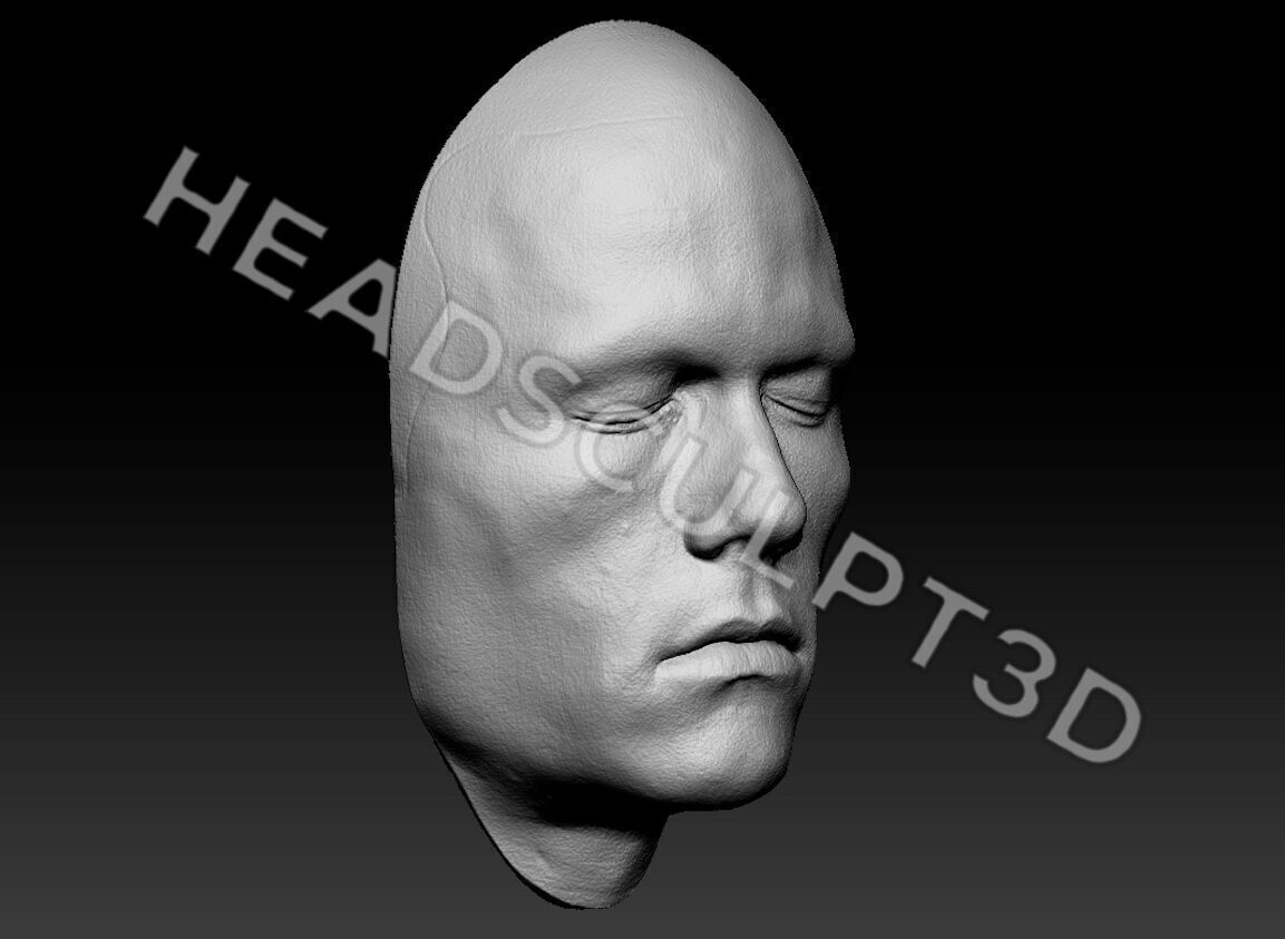 Heath Ledger Joker Lifecast 3D Half-Head Scan Likeness DC 3D model_3