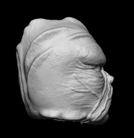 Klatoonian Headsculpt - Tarados Gon - Star wars Action Figure 3D print model_6