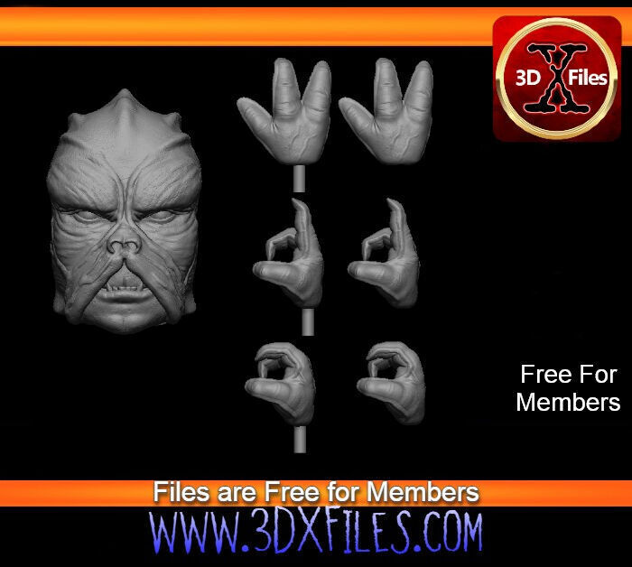 Klatoonian Headsculpt - Tarados Gon - Star wars Action Figure 3D print model_7