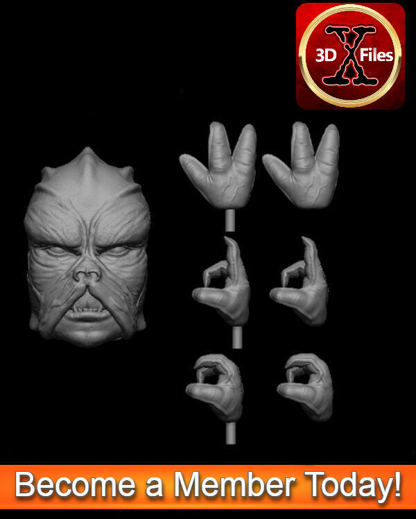 Klatoonian Headsculpt - Tarados Gon - Star wars Action Figure 3D print model_3