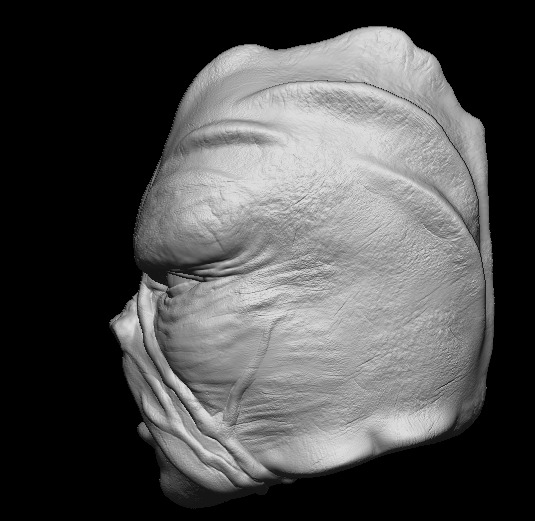 Klatoonian Headsculpt - Tarados Gon - Star wars Action Figure 3D print model_2