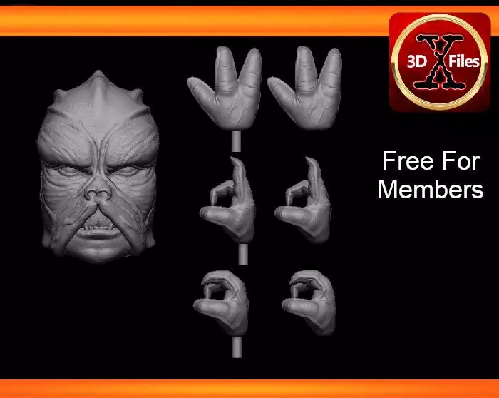 Klatoonian Headsculpt - Tarados Gon - Star wars Action Figure 3D print model_0