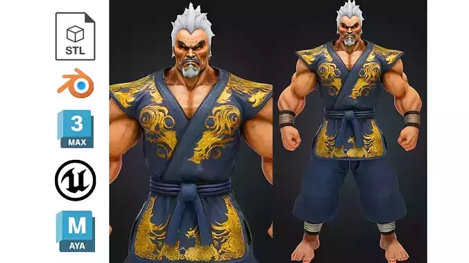 Stylized Martial Arts Master