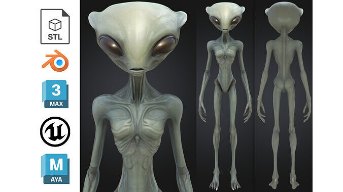 Alien Realistic Extraterrestrial Low-poly 3D model