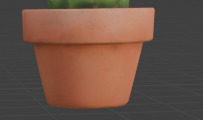 happy cactus 3D model_4