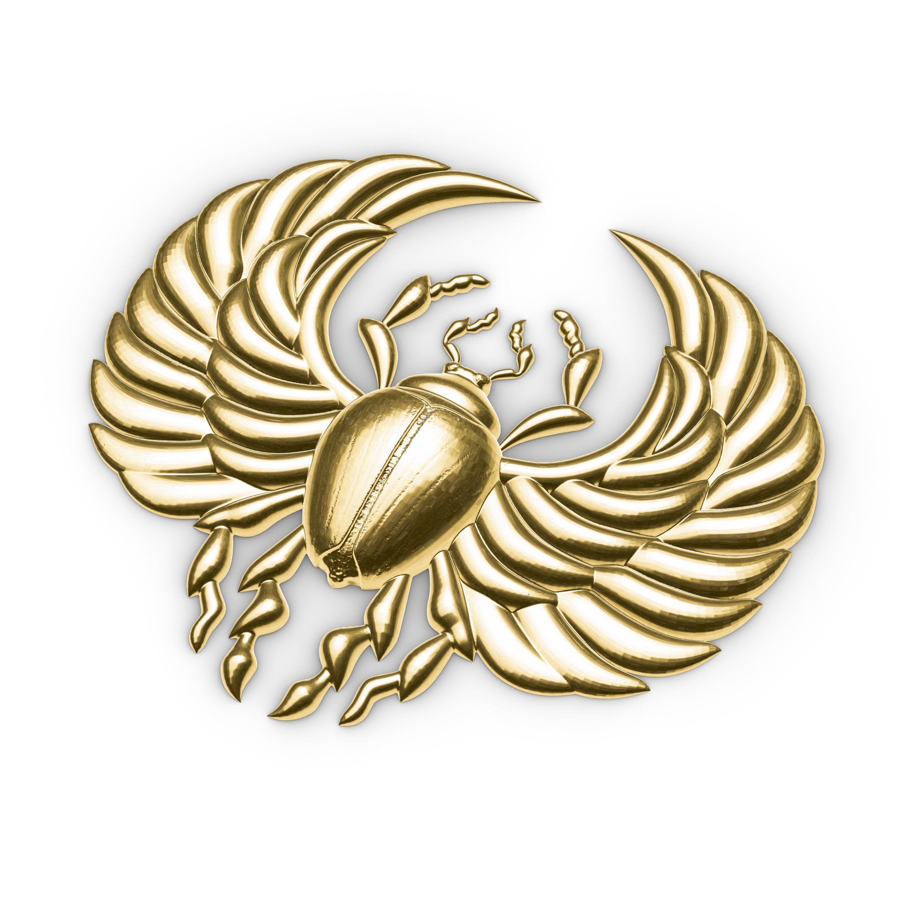 The scarab beetle 3D print model_3