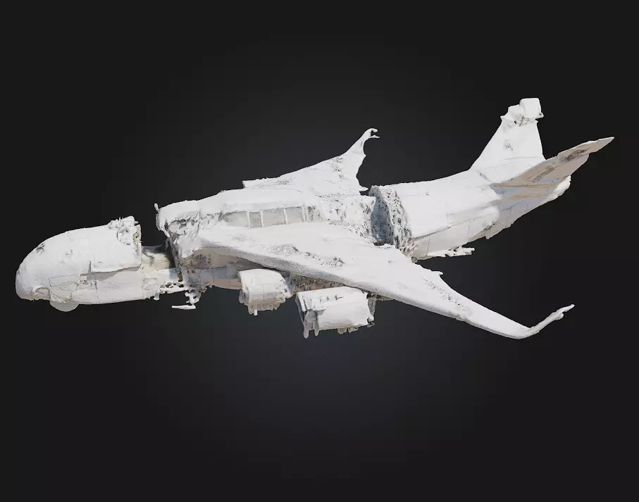 Crumpled Wings Fragile Beauty in a World of Decay 3D model