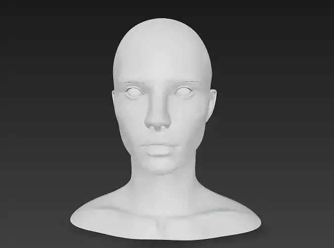 Realistic Female Head  Bust 