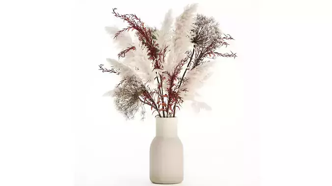 Bouquet Dried Flowers Branches Hogweed Cortaderia 565