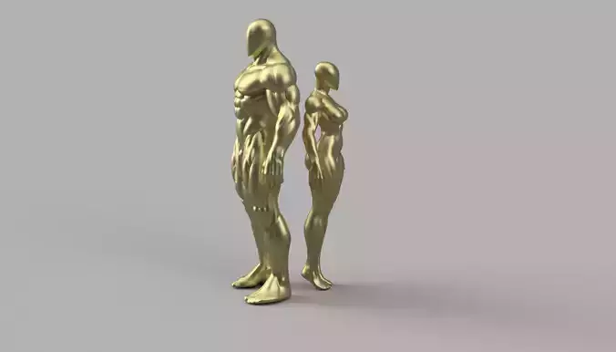 Muscular male and female  Figure