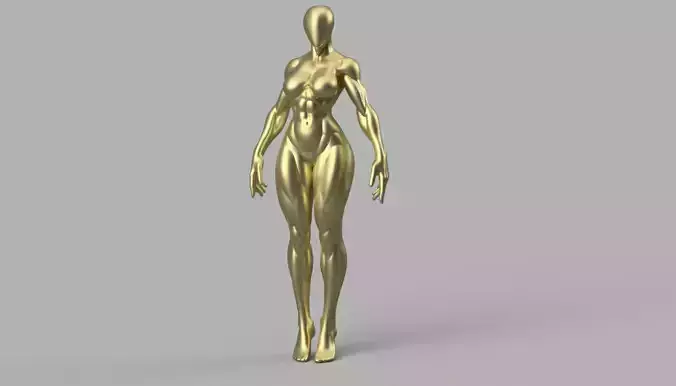 Muscular femal  Figure